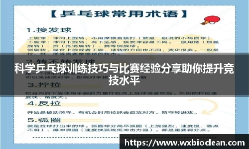 科学乒乓球训练技巧与比赛经验分享助你提升竞技水平