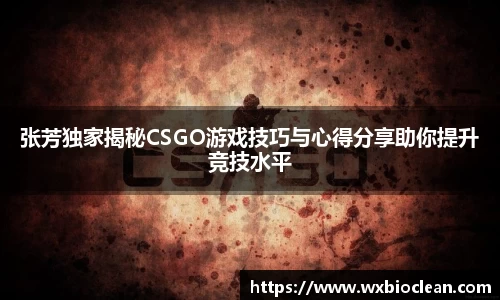 张芳独家揭秘CSGO游戏技巧与心得分享助你提升竞技水平