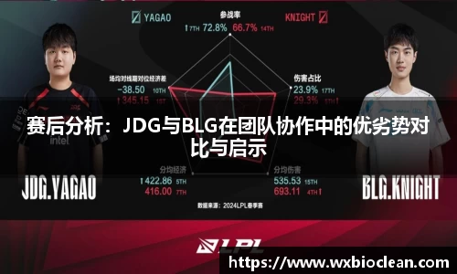 赛后分析：JDG与BLG在团队协作中的优劣势对比与启示