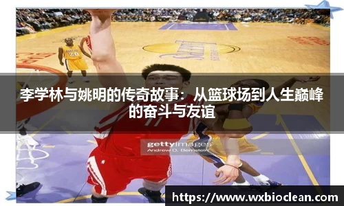 365完美体育官网