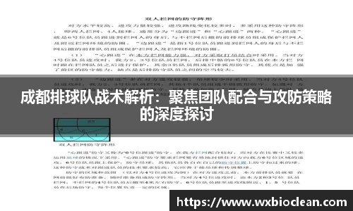 成都排球队战术解析：聚焦团队配合与攻防策略的深度探讨